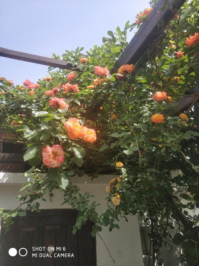 Papanovata House Hotel Enina ภายนอก รูปภาพ